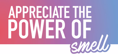Appreciate the power of smell