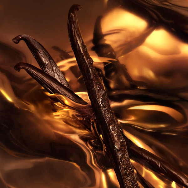 abstract image of dark vanilla pods emerging from rippling amber liquid under warm golden lighting. The glossy liquid and textured vanilla pods create a rich, sensual visual suggesting warmth, sweetness, and depth associated with a fragrance note.