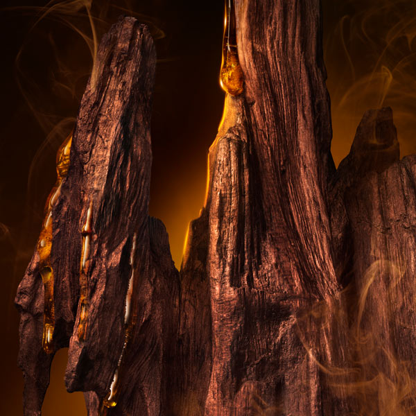 Close-up image of tall, rugged wooden pieces with deep grooves and cracks, streaked with glossy amber resin that appears to drip and pool along the surface. Warm golden lighting and wisps of smoky atmosphere highlight the wood’s rich texture, evoking depth, warmth, and a resinous fragrance note.