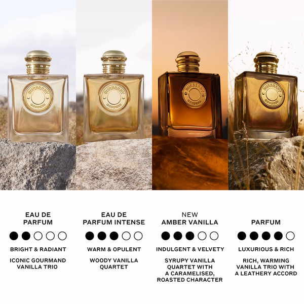 A visual displaying the the differences between the burberry goddess fragraces, with amber vanilla being less intense than the parfum