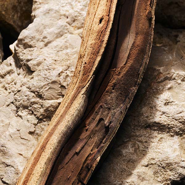 Ambery woods extract pictured on a rock