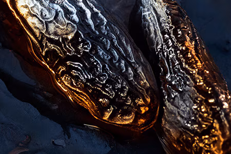 Close‑up of two dark, glossy seed pods with amber highlights resting in liquid, representing rich, warm amber fragrance notes.